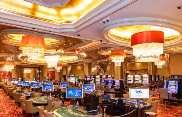 The Brutal Reality of Casino W